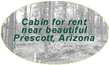 Prescott Forest cabin for rent